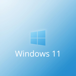Windows 11